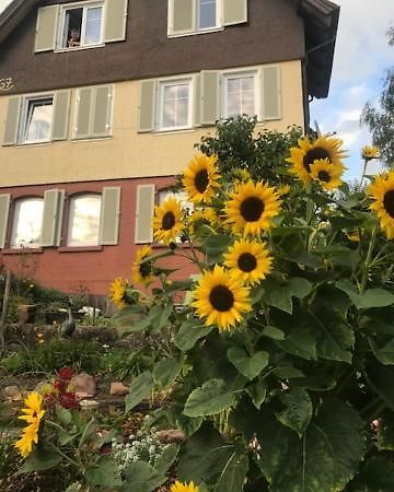 Sonnige Ferienwohnung シュランベルク エクステリア 写真