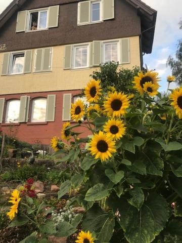 Sonnige Ferienwohnung シュランベルク エクステリア 写真
